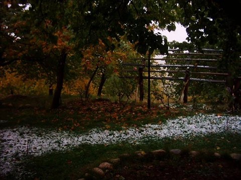 sende başını alıp gitme ne olur,ne olur tut ellerimi..