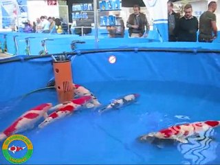 Interkoi 2010 deel 1