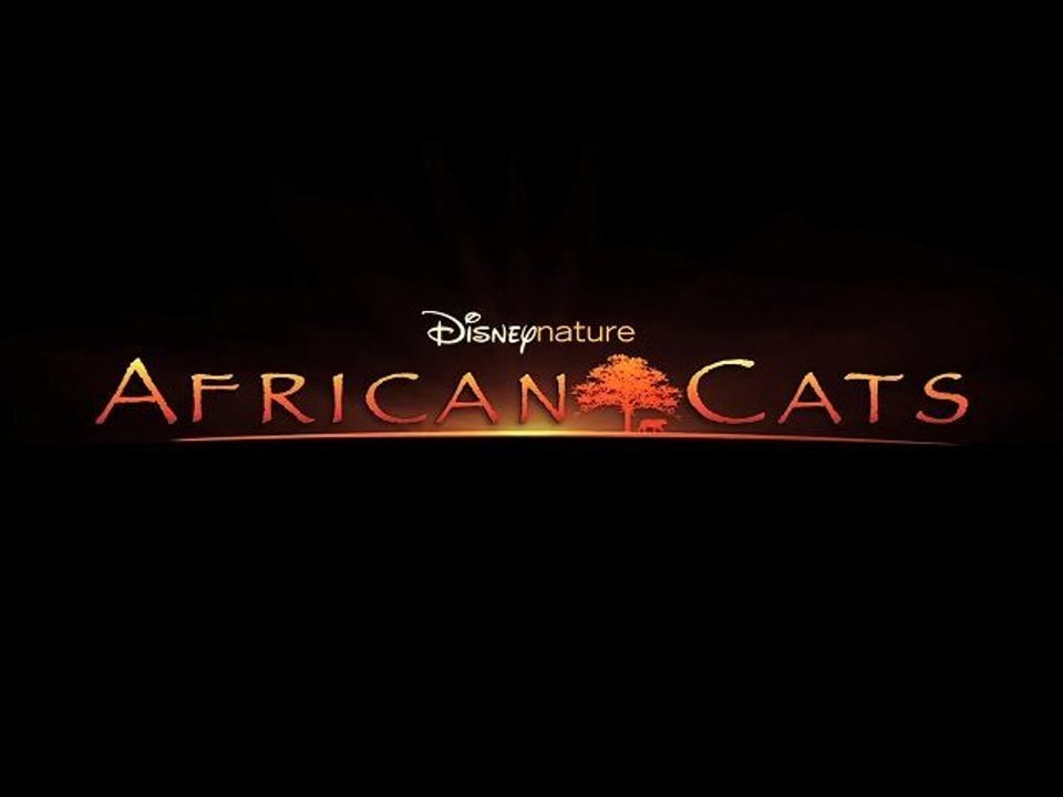 African Cats