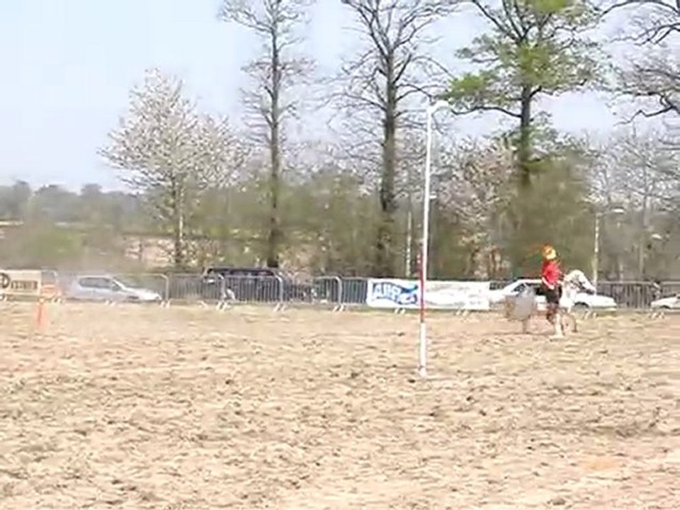 poney g1MOV09170