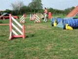 24 avril - entraînement agility à l'aca79