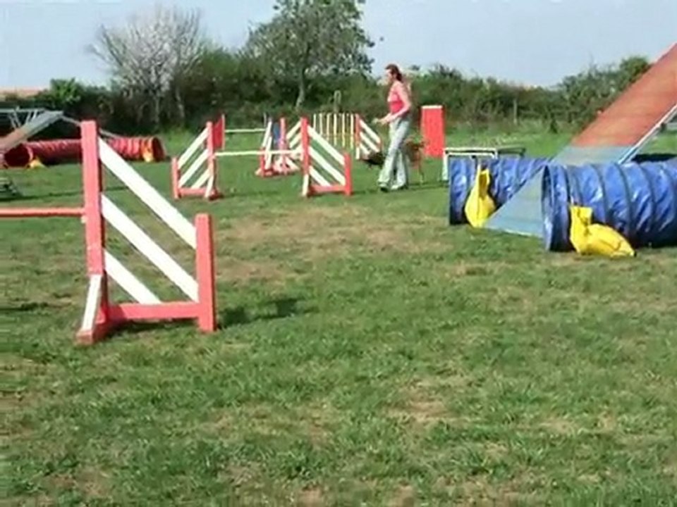 24 avril - entraînement agility à l'aca79