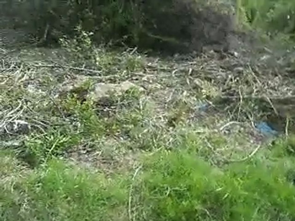 Randonnée à Vauciennes 3