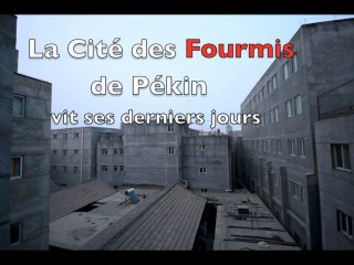 La Cité des Fourmis à Pékin vit ses derniers jours