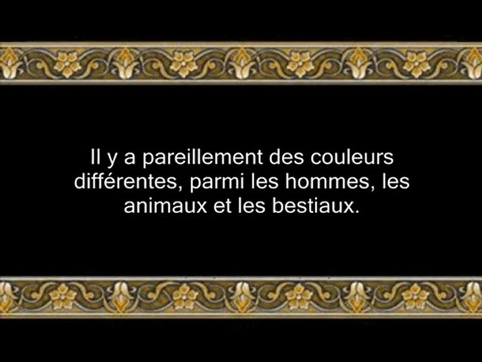 88 Le Créateur (par Salah Ibn Mouhammed Al-Boudeir)