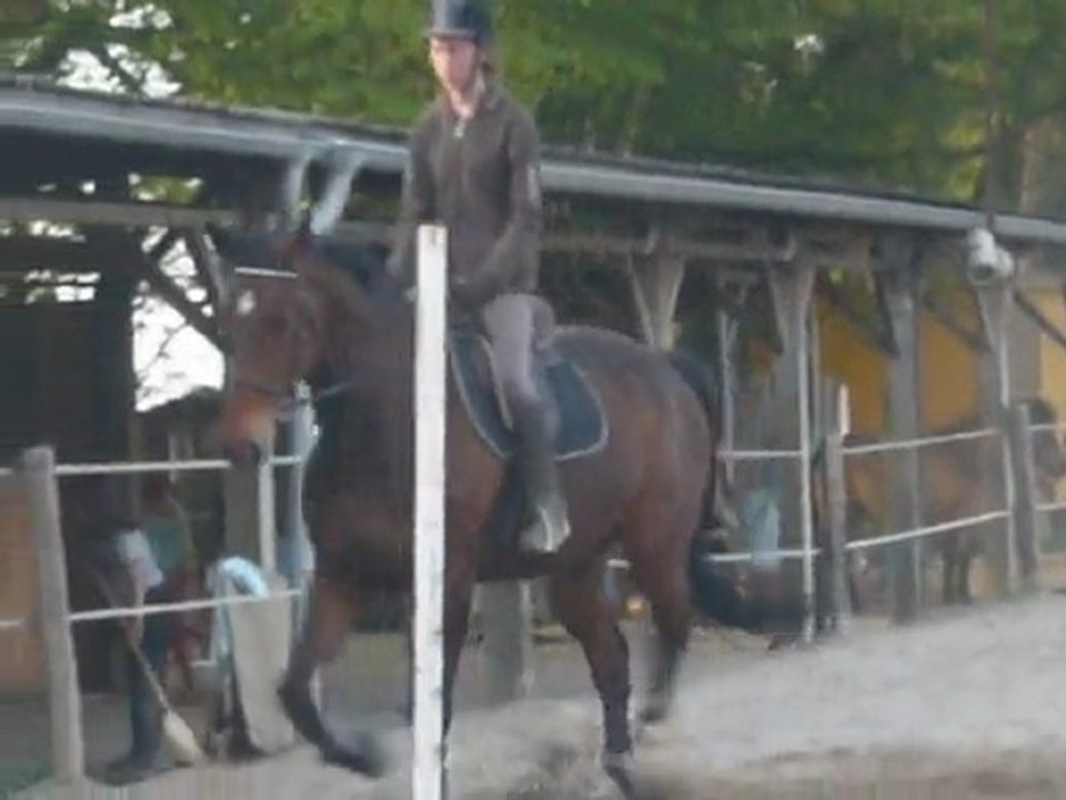 transition trot arret trot avril 2010