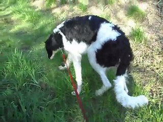 ballade au calme ...........