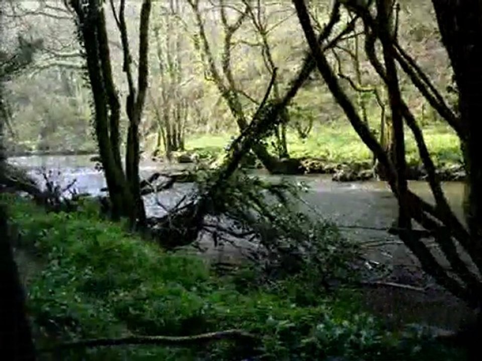 UNE PROMENADE A LA PECHE A LA TRUITE