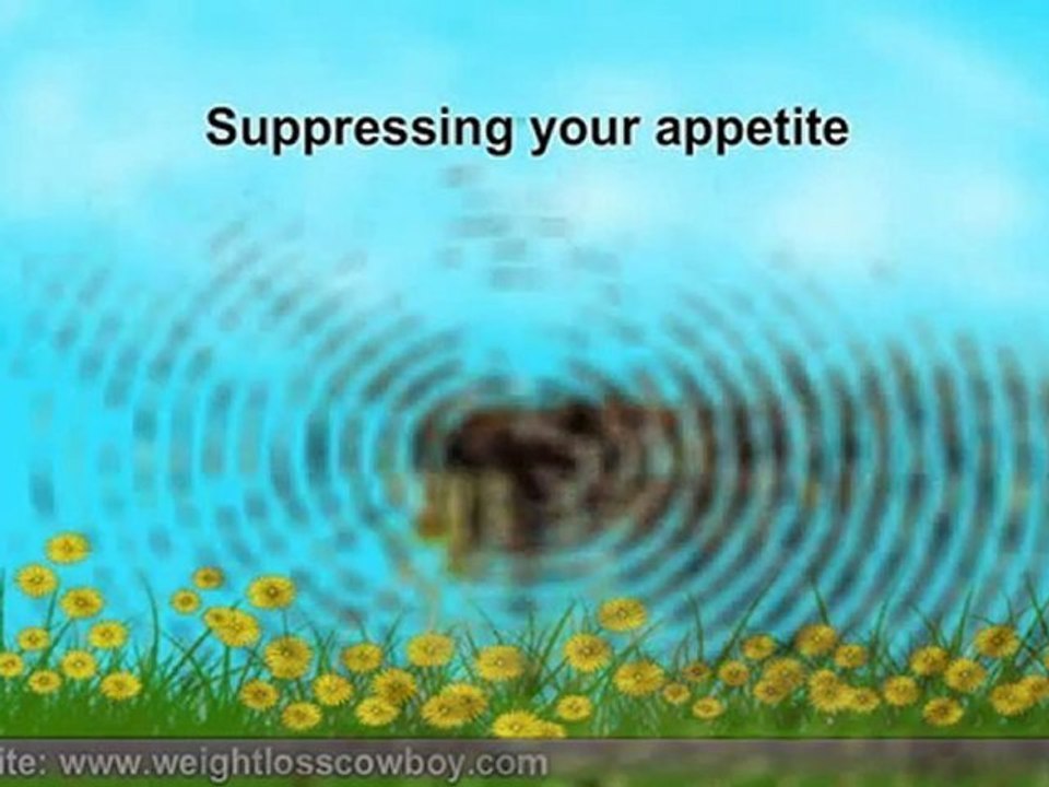 Weight Loss With Acai Berry