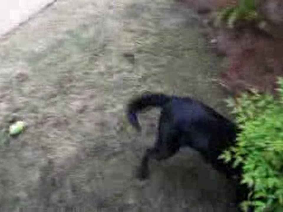 20100420163259