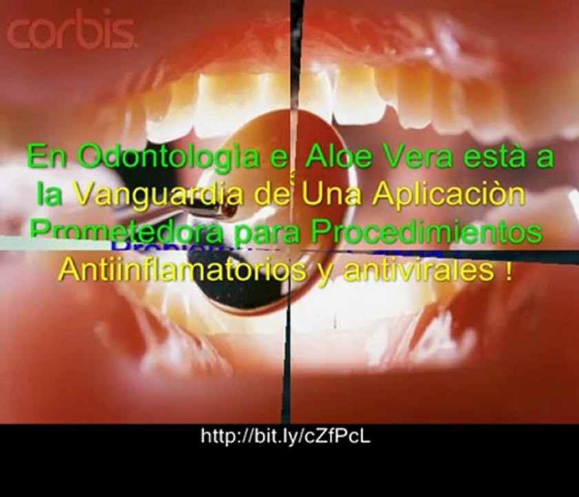 Beneficios Del Aloe Vera - Aloe Vera Tu Doctor Milagroso