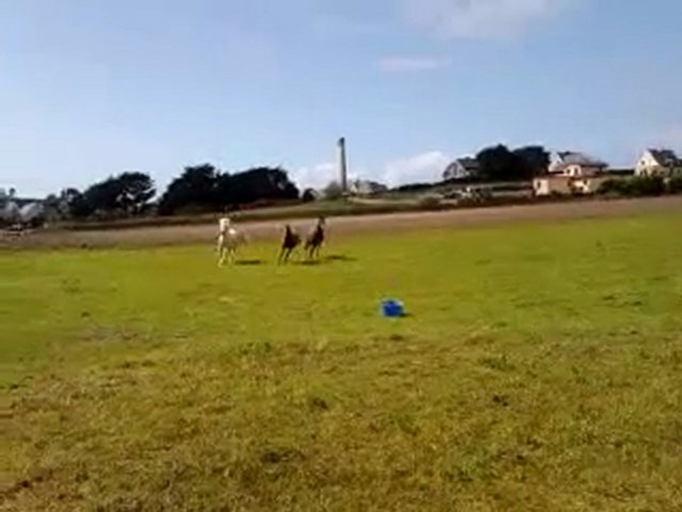 susu, krotte et tête de slip