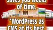 Wordpress - Premium Themes | Web Design Services