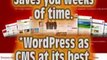 Wordpress - Make Money On The Internet | Blog Money