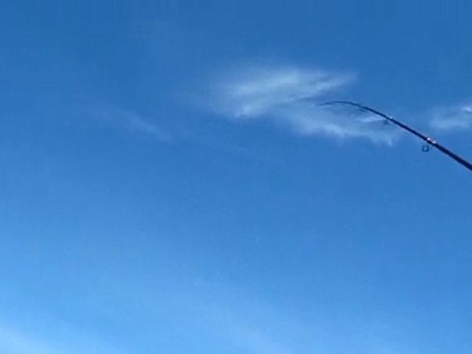 WHITEFISH FAKO&DOGAN AVI  25.4.2010 001