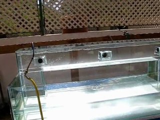 Filling a glass tunnel with water