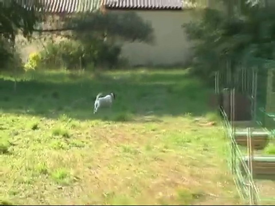 putsy exporté