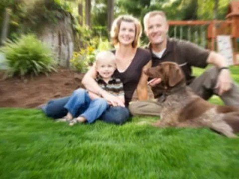 Spring Lawn Care Tips and Maintenance