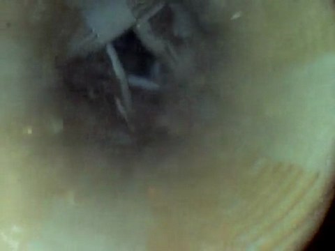 Sondaj su altı kamerası satışı yapılır.Cengiz Tamkan 0 542 633 54 98 Ödemiş