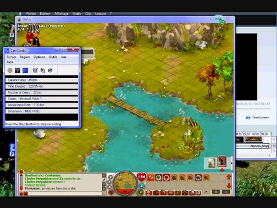 dofus