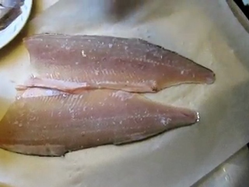 WHITEFISH FAKO&DOGAN AVI  25.4.2010 011
