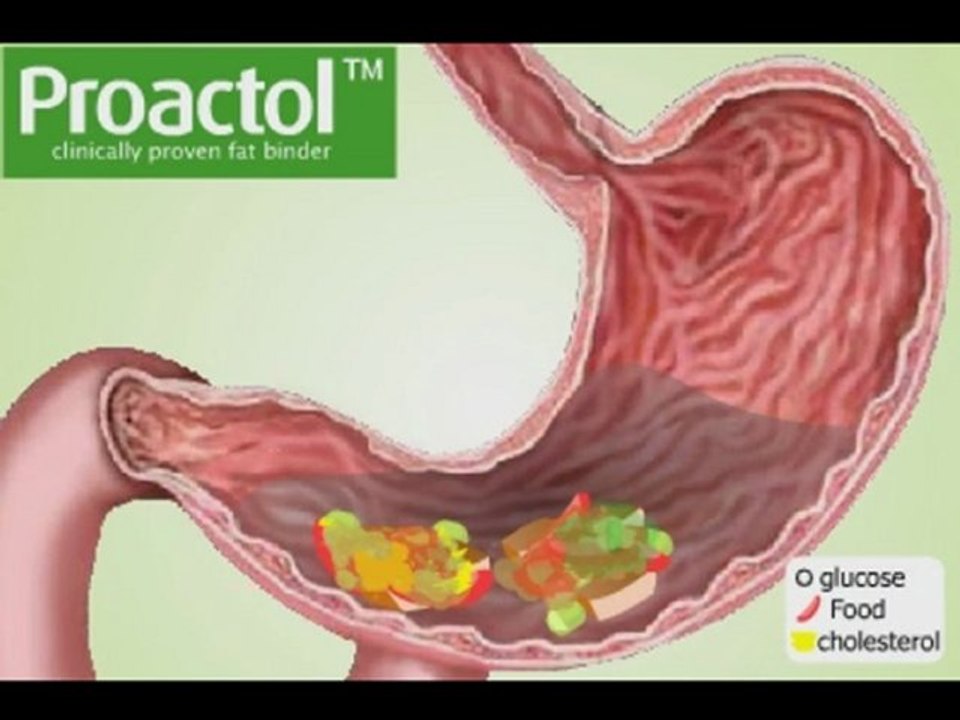 Lose Weight Fast With Proactol