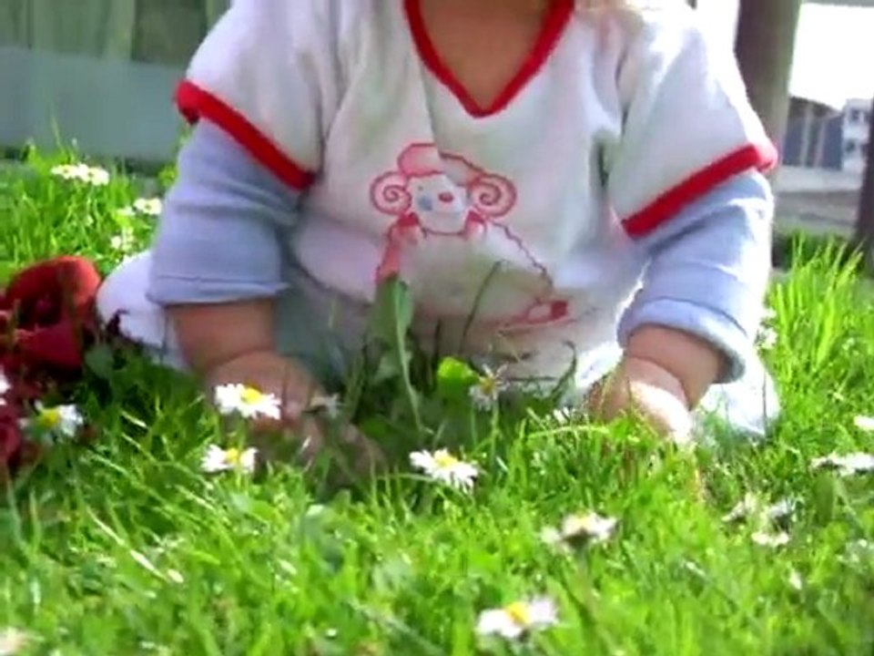 dans l'herbe