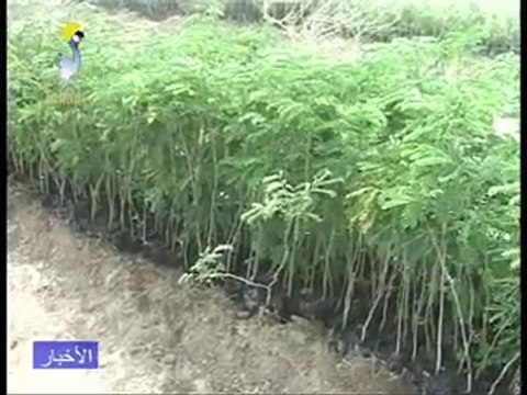 JT ARABE DU 25/04/2010 PAR TCHADONLINE.TV