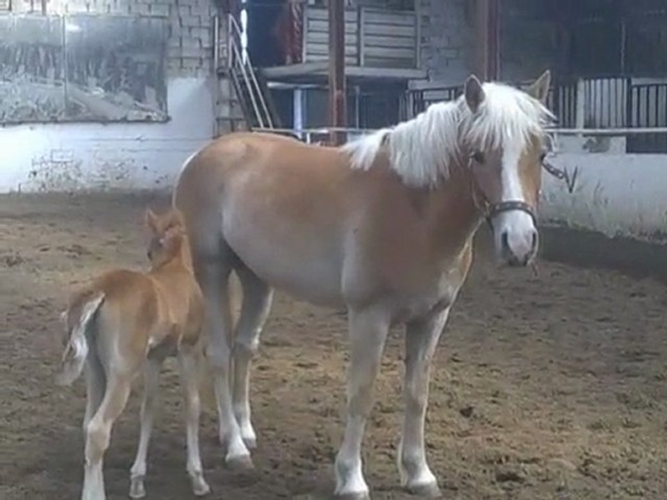 22 éme jours de vie de spirit