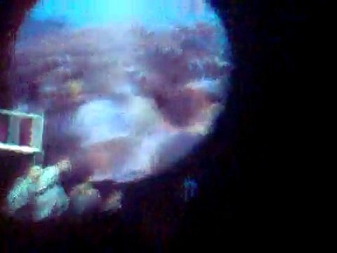 Début concert Mika au Dôme de Marseille le 23.04.10