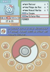Pokemon Platine DS 06