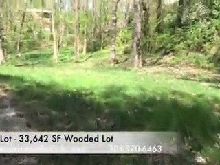 award winning home design,since 1992,Bethesda custom,renova