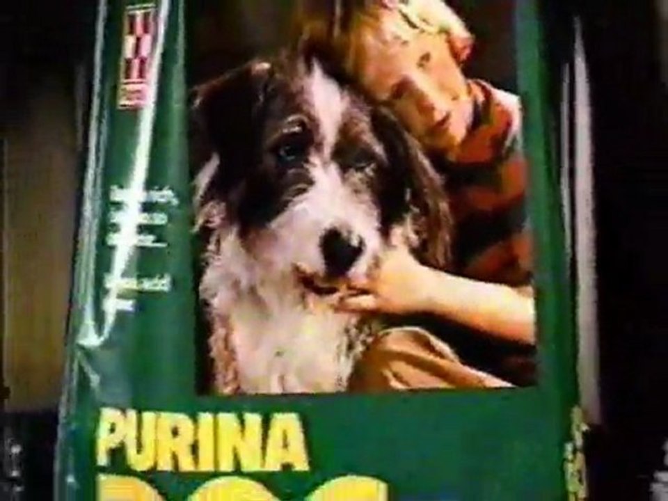 WTBS Centennial bumper / Purina Dog Chow