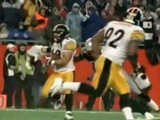 Troy Polamalu Biography
