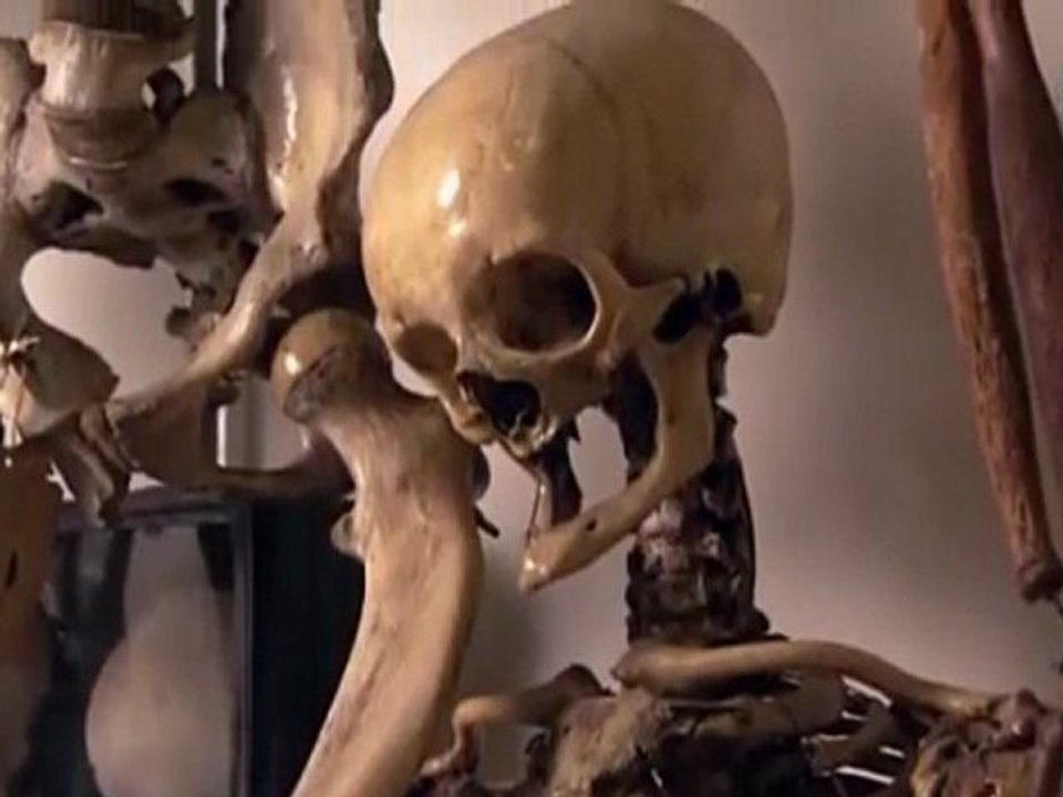 L'aventure des premiers hommes  L'Europe 3