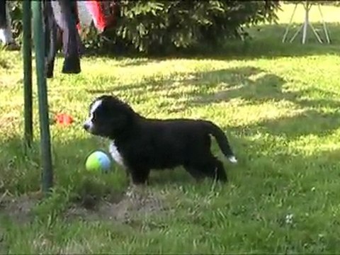 First presque 7 semaines 25.04.10 007