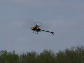 Trex 450 Pro # 006