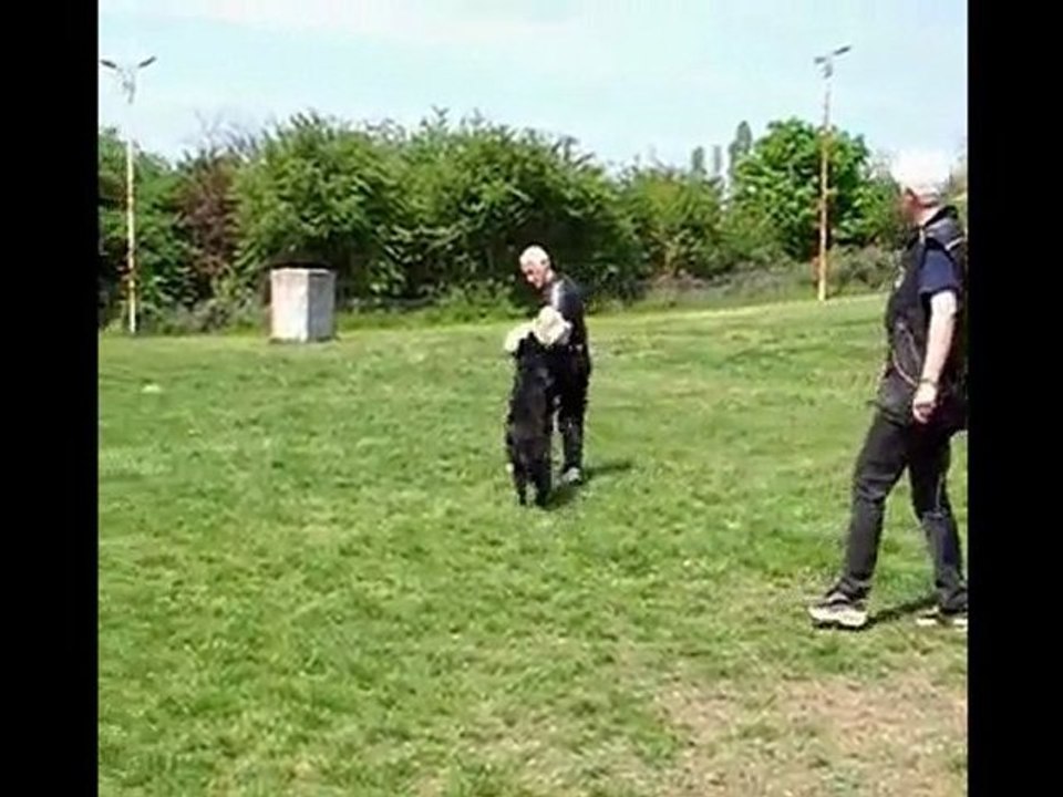 bawl des orckis de l'adret