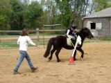 1er Concours pony game d'Axelle le 25/04/2010