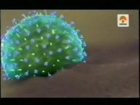 Gripe española (1918): La muerte purpura