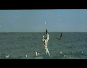 Océanos - Cómo de hizo. Parte 1 de 3