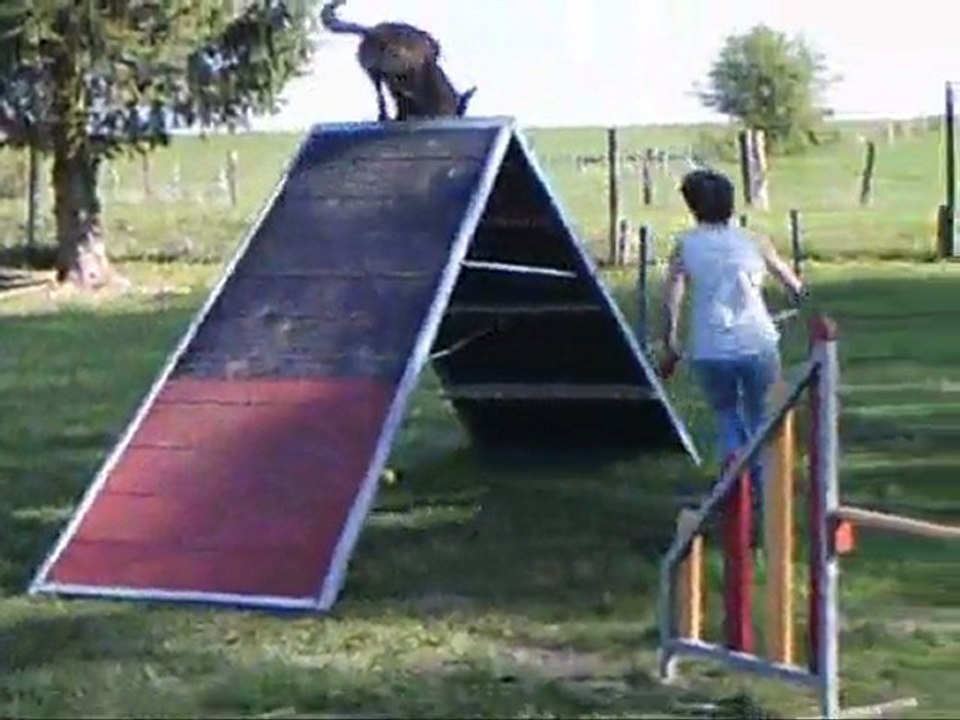 Réussites et échecs Vidéo