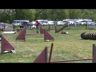 Along 3ème Degré Agility Belleville 25/04/2010