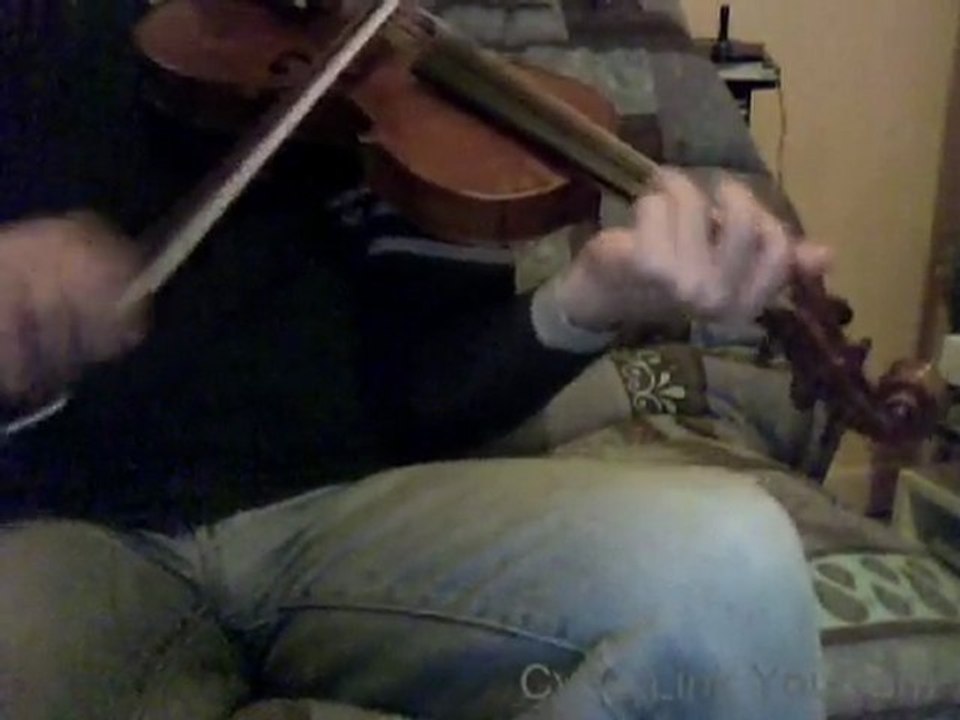 mazurka l'arbre du renard