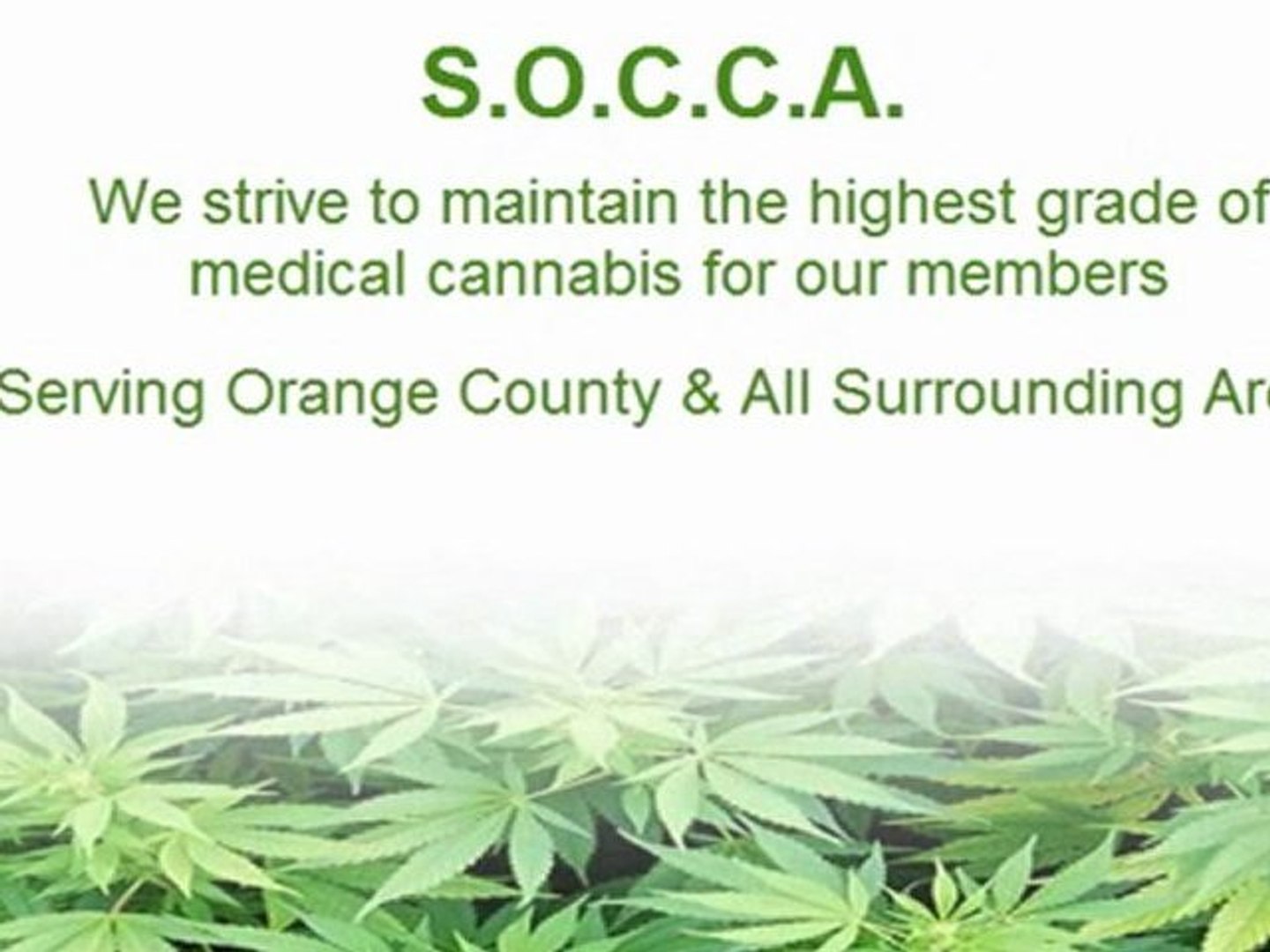california medical marijuana association