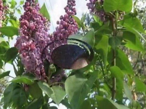 Edyta Geperd - Szukaj mnie.mpg