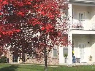 Courts of Avalon Apartments in Pikesville, MD - ForRent.com