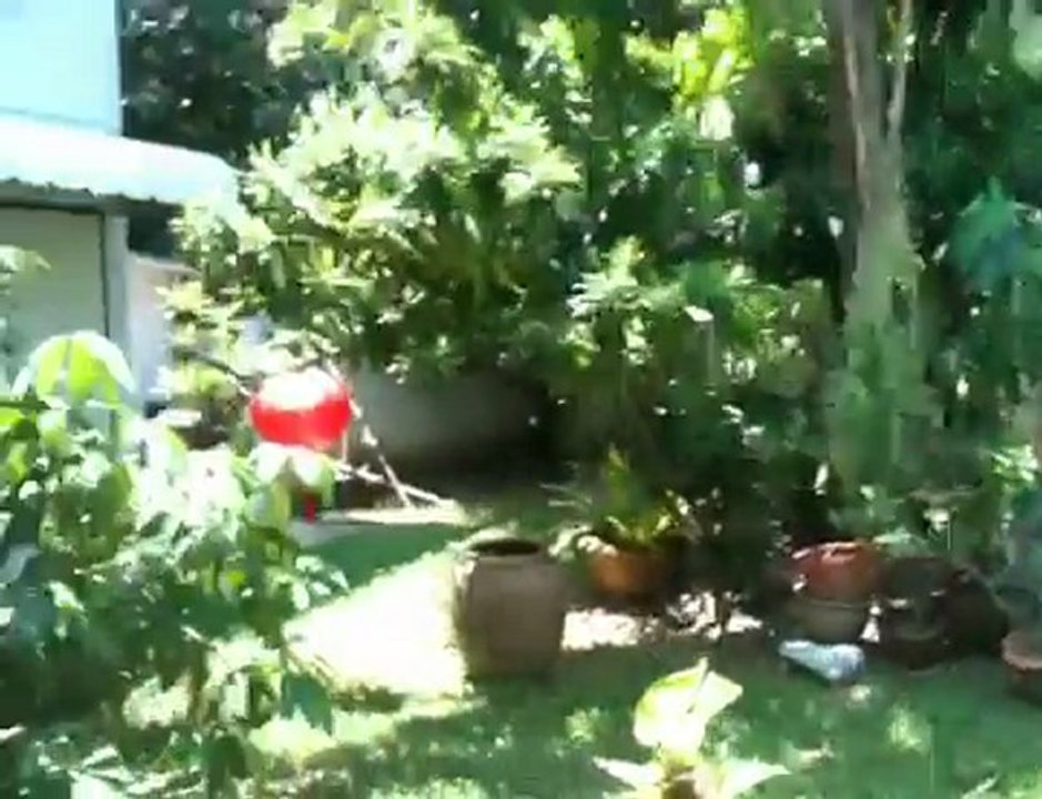 House1