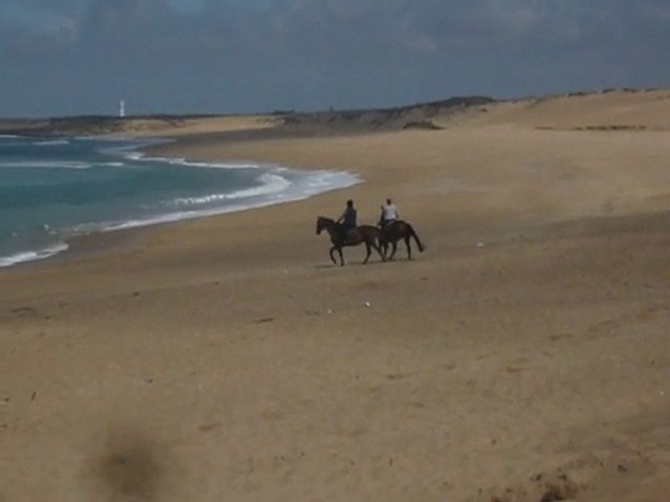 Plage avec les chevaux   :)