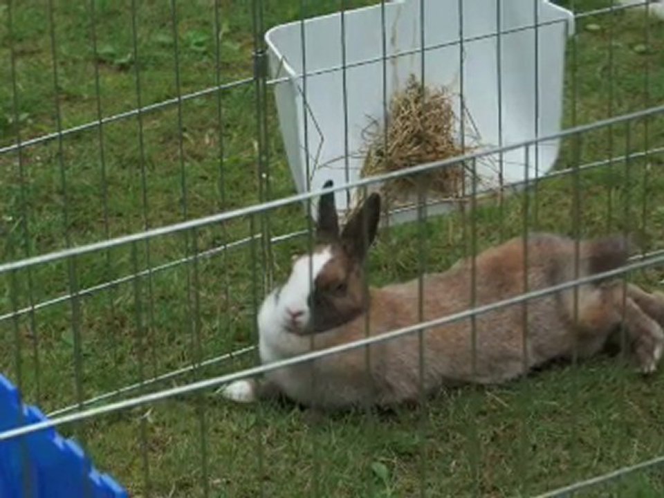 Gipsy en Italie